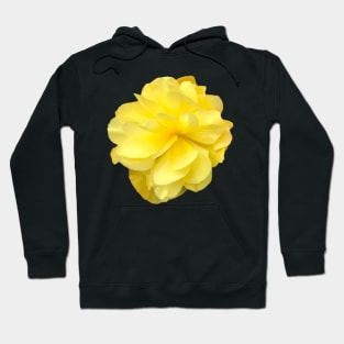 Yellow Double Begonia Close-up Hoodie